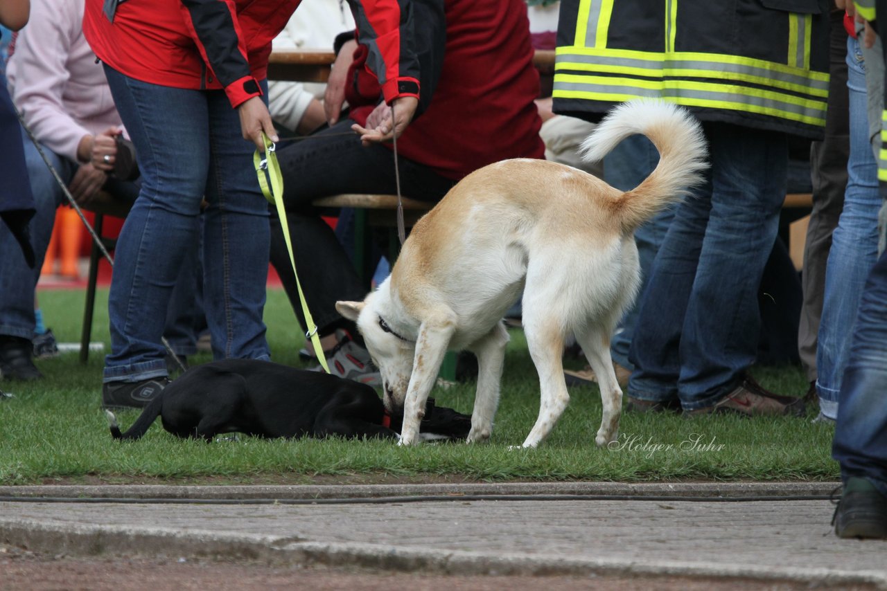Bild 271 - Vogelschießen 2011